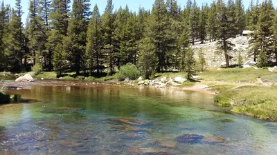 Tuolumne County - Photo 2