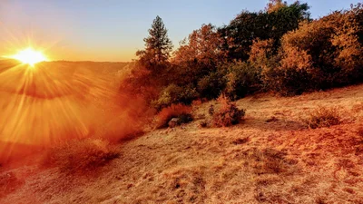 Tuolumne County - Photo 3