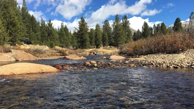 Tuolumne County - Photo 5