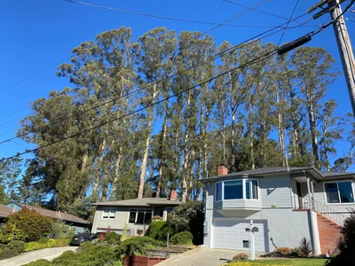 El Cerrito - Photo 3