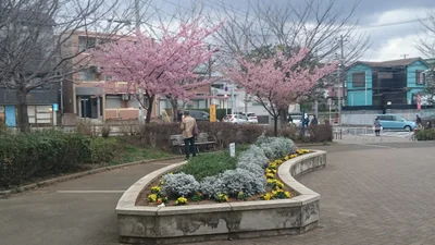 Narashino - Photo 3