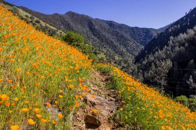 Mariposa County - Photo 4