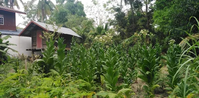 Kantharalak - Photo 5