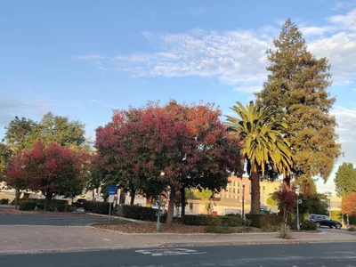 San Mateo County - Photo 4
