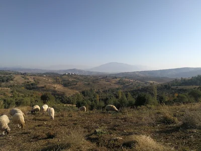 Onikişubat - Photo 2