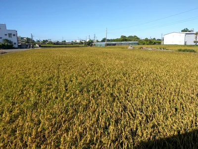 Yongjing Township - Photo 2