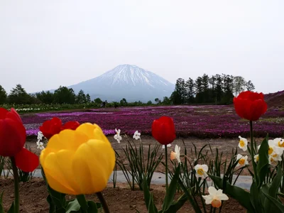Kutchan - Photo 5