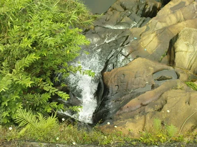 Talawakele - Photo 3