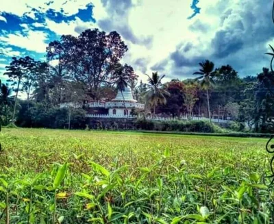 Talawakele - Photo 4