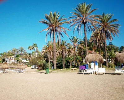Marbella - Photo 4