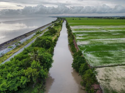 Kuala Kedah - Photo 3