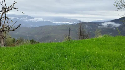 Poonch - Photo 4