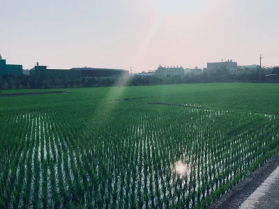 Hemei Township - Photo 4