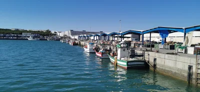 Barbate - Photo 5