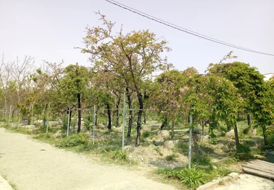 Fenyuan Township - Photo 3