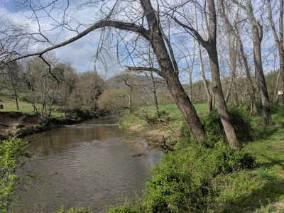 Buncombe County - Photo 2