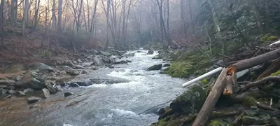 Buncombe County - Photo 3