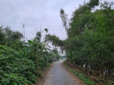 Phú Lộc - Photo 3