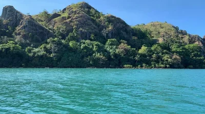 Mali Island - Photo 3