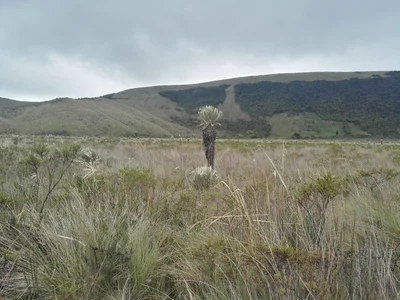 Cumbal - Photo 2