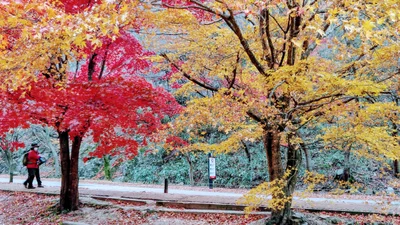 Jeongeup-si - Photo 2