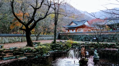 Jeongeup-si - Photo 3