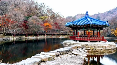Jeongeup-si - Photo 4