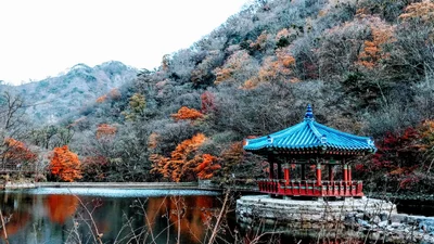 Jeongeup-si - Photo 5