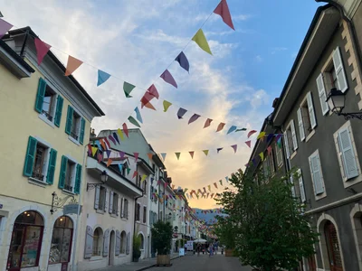 Carouge - Photo 5