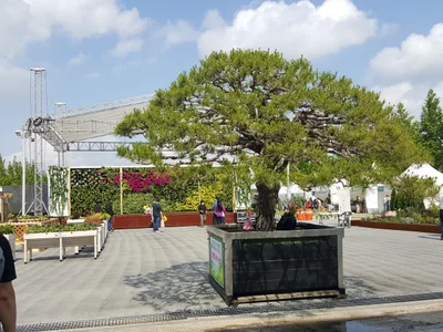 Jeonju-si - Photo 2