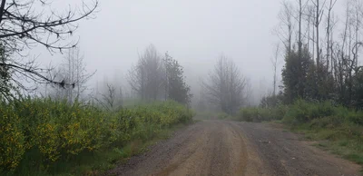 Greater Concepcion - Photo 2