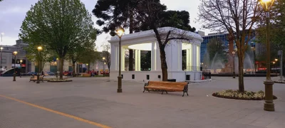 Greater Concepcion - Photo 5