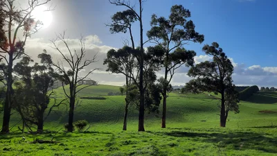 Gippsland - Photo 4