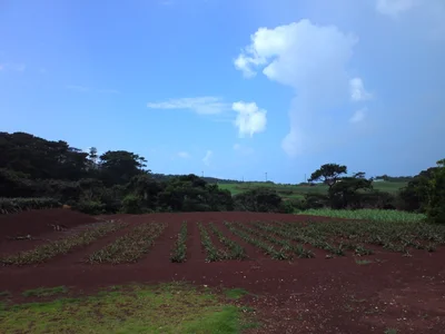 Kumejima - Photo 5