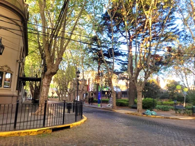 Olivos - Photo 3