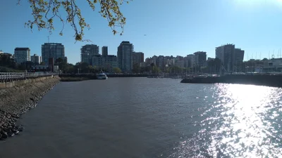 Olivos - Photo 4