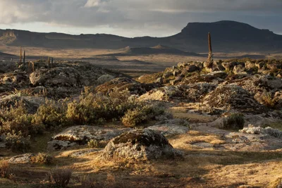 Bale Mountains National Park - Photo 4