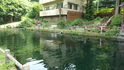 Tochigi - Photo 3