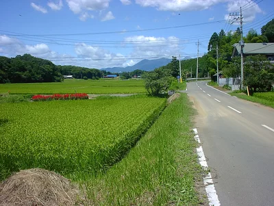 Tochigi - Photo 5