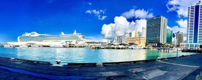 Auckland - Photo 5