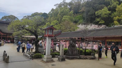 Dazaifu - Photo 3