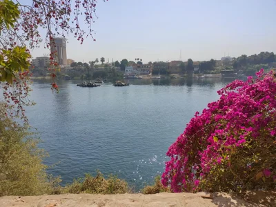 Aswan Governorate - Photo 5