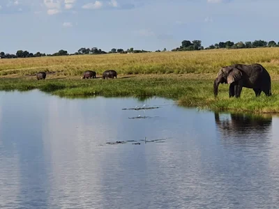 Chobe National Park - Photo 3