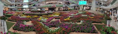 Medellin - Photo 4