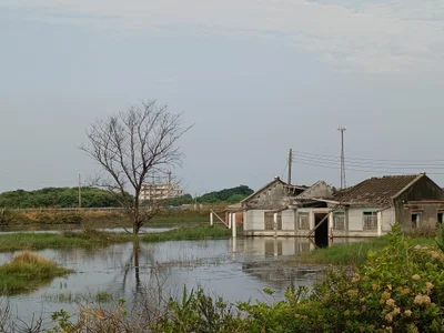 Dongshi Township - Photo 3
