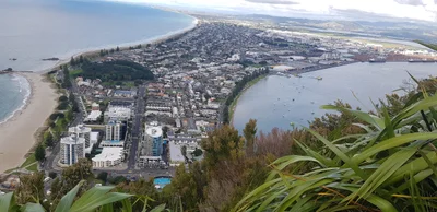 Bay of Plenty Region - Photo 5