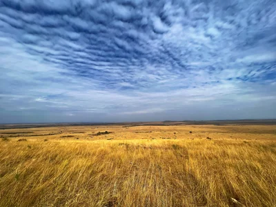 Maasai Mara National Reserve - Photo 4