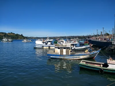 Isla Chiloe - Photo 3