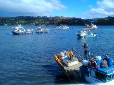 Isla Chiloe - Photo 4