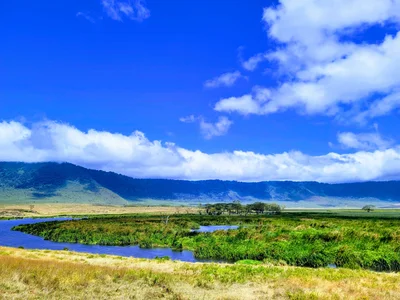Ngorongoro Conservation Area - Photo 4